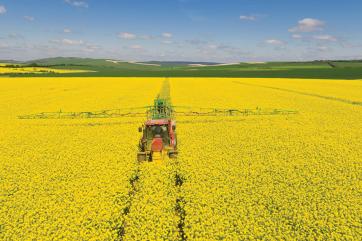 Канада намерена сократить площади под четырьмя культурами